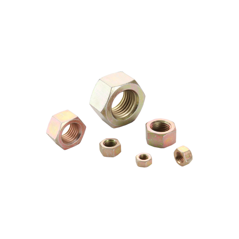 GB55 Hexagonal densissima nucis