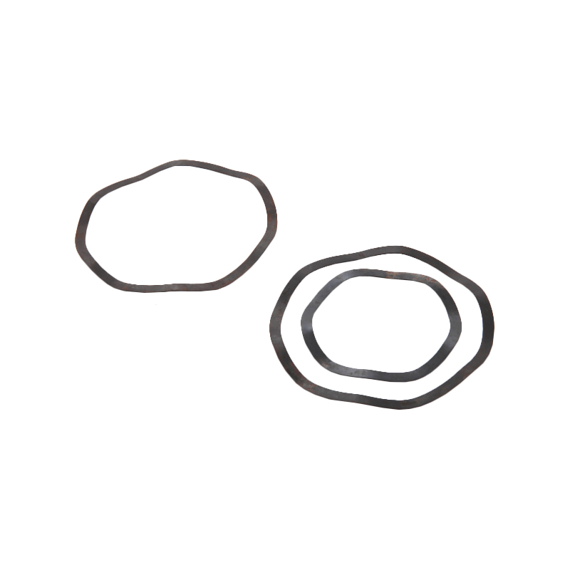 ANSI / ASME B18.21.1 Latin Spring Washers